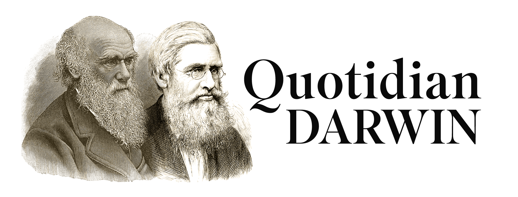 Quotidian Darwin